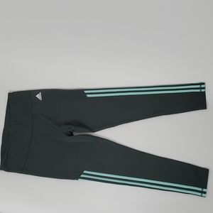 adidas green/blue Leggings with Blue Stripes